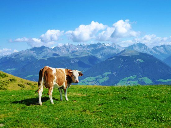 Comprensorio Sciistico Plan de Corones